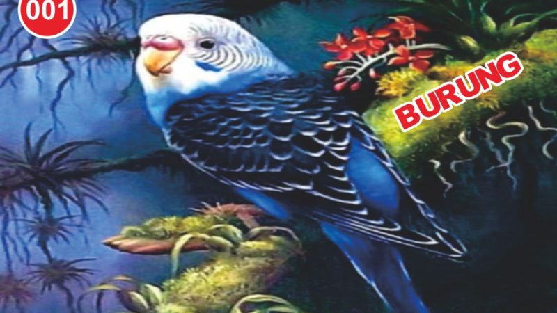 Wakil Ketua DPRD Medan Sorotin Perjudian di Komplek Asia Mega Mas Blok DD