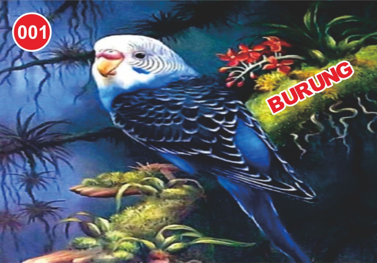 Wakil Ketua DPRD Medan Sorotin Perjudian di Komplek Asia Mega Mas Blok DD