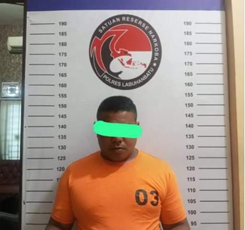 Sat Res Narkoba Polres Labuhan Batu Ringkus Pengedar Narkotoka di Desa Lingga Tiga