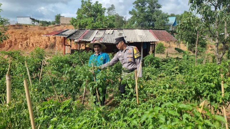 Polsek Nongsa dan Masyarakat Bersinergi Wujudkan Ketahanan Pangan Berkelanjutan
