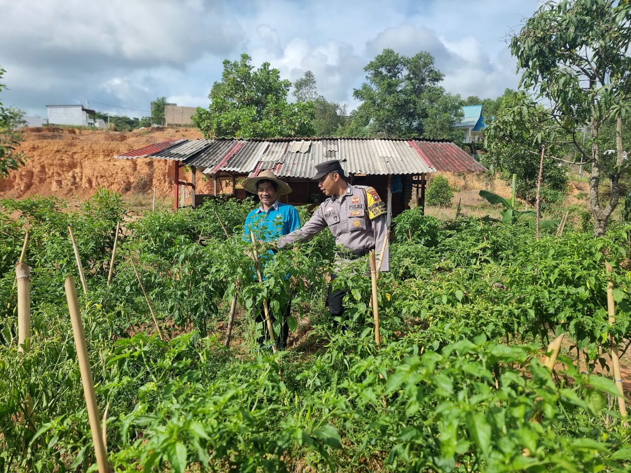 Polsek Nongsa dan Masyarakat Bersinergi Wujudkan Ketahanan Pangan Berkelanjutan